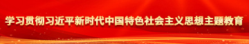 日逼黄色视频免费看学习贯彻习近平新时代中国特色社会主义思想主题教育